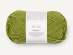 Włóczka Sandnes Garn Atlas matcha  9564