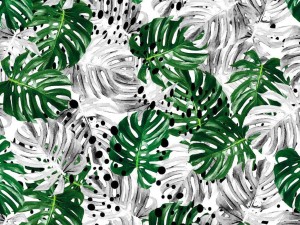 Dresówka z elastanem liście monstera na białym druk cyfrowy dzianina dresowa pętelka bawełna