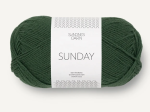 Włóczka Sandnes Garn Sunday zielony las 8082