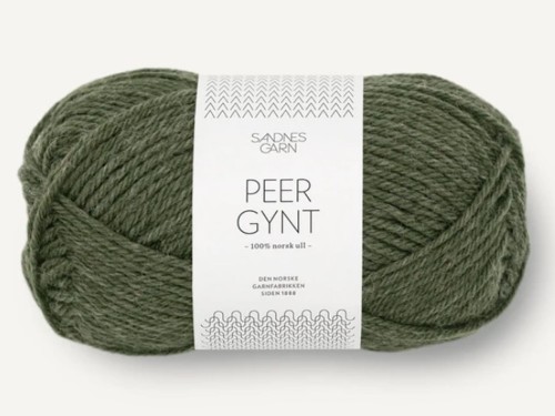 Włóczka Sandnes Garn Peer Gynt zielony ciemny melanż 9572
