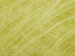 Włóczka Filcolana Tilia limelight 255