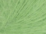Włóczka Sandnes Garn Tynn Silk Mohair wiosenny zielony 8733